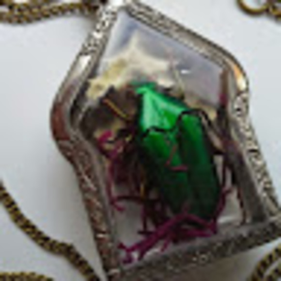 Meet your Posher, Ajh - Picture 1 of 1